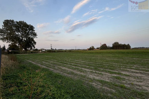 Działka na sprzedaż pruszkowski Brwinów Krosna-Wieś - zdjęcie 1