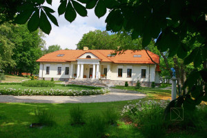 Dom na sprzedaż 650m2 radomszczański Wielgomłyny - zdjęcie 1