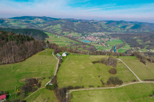 Działka na sprzedaż 23549m2 limanowski Laskowa - zdjęcie 1