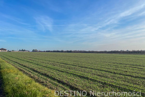 Działka na sprzedaż 1090m2 kaliski Ceków-Kolonia Beznatka - zdjęcie 1