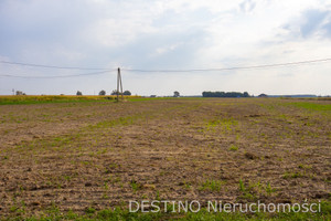 Działka na sprzedaż 1433m2 kaliski Godziesze Wielkie Zadowice Zadowice - zdjęcie 2