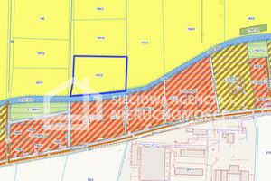 Działka na sprzedaż 10730m2 pucki Krokowa Karwieńskie Błoto Pierwsze - zdjęcie 4