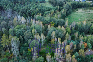 Działka na sprzedaż 4047m2 trzebnicki Oborniki Śląskie Jary Dębowa - zdjęcie 1