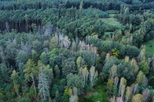 Działka na sprzedaż 4047m2 trzebnicki Oborniki Śląskie Jary Dębowa - zdjęcie 3