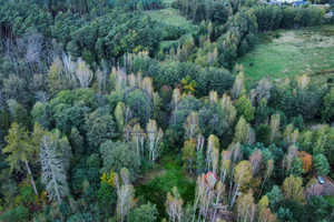 Działka na sprzedaż 4047m2 trzebnicki Oborniki Śląskie Jary Dębowa - zdjęcie 1