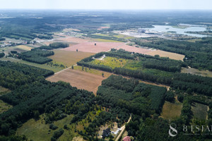 Działka na sprzedaż 48300m2 żyrardowski Mszczonów Marków-Świnice Spacerowa - zdjęcie 1