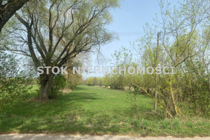 Działka na sprzedaż 7800m2 białostocki Choroszcz Rogowo - zdjęcie 3
