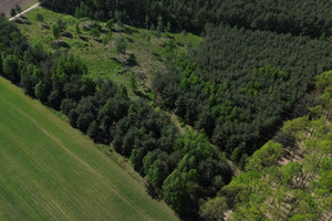 Działka na sprzedaż 1000m2 legionowski Serock - zdjęcie 3