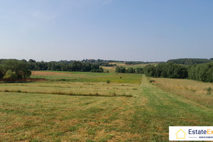 Działka na sprzedaż 800m2 kielecki Raków Koziel - zdjęcie 1