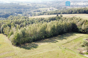 Działka na sprzedaż 2742m2 rzeszowski Chmielnik Borówki - zdjęcie 1