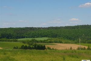 Działka na sprzedaż 900m2 krakowski Michałowice Kozierów - zdjęcie 1