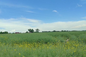 Działka na sprzedaż 500m2 gliwicki Toszek Pniów Srocza Góra - zdjęcie 1