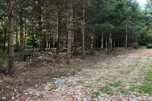 Działka na sprzedaż 3000m2 piaseczyński Piaseczno Mieszkowo - zdjęcie 1