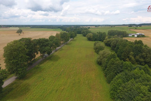 Działka na sprzedaż 4161m2 ostródzki Ostróda Wirwajdy - zdjęcie 3