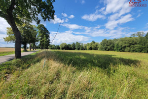 Działka na sprzedaż 4161m2 ostródzki Ostróda Wirwajdy - zdjęcie 2