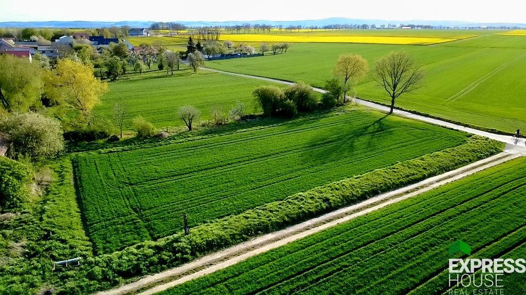 Działka siedliskowa Godziszowa – cisza i natura