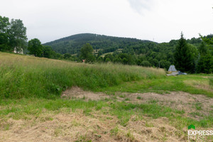 Działka na sprzedaż 1880m2 kłodzki Stronie Śląskie Dolna - zdjęcie 1