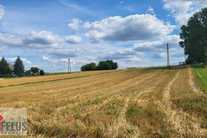 Działka na sprzedaż 1600m2 proszowicki Pałecznica Czuszów - zdjęcie 1