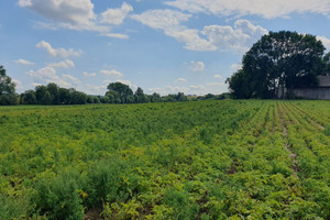 Działka na sprzedaż 3700m2 krakowski Kocmyrzów-Luborzyca Kocmyrzów - zdjęcie 2