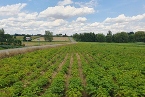 Działka na sprzedaż 1137m2 krakowski Kocmyrzów-Luborzyca Kocmyrzów - zdjęcie 3