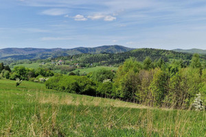 Działka na sprzedaż 3818m2 suski Zembrzyce Tarnawa Dolna Tarnawa Dolna - zdjęcie 1