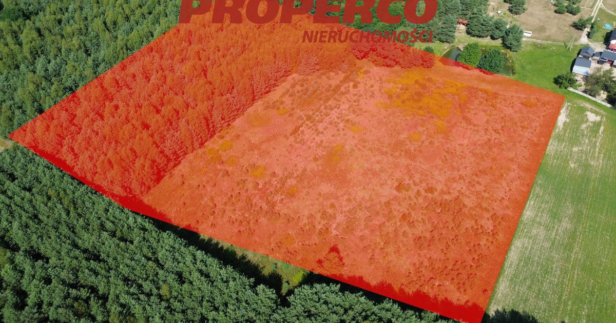 Działka 36661m2, Kolonia Bogoria, Bogoria