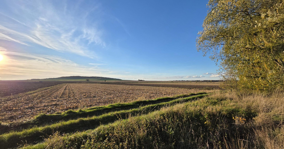 Działka rolna na sprzedaż - Buków