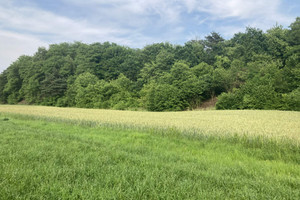 Działka na sprzedaż 1230m2 tarnogórski Tarnowskie Góry Repty Śląskie - zdjęcie 2