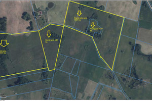 Działka na sprzedaż 38500m2 ełcki Stare Juchy Gorło - zdjęcie 3