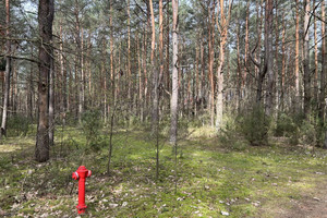 Działka na sprzedaż makowski Różan Dzbądz - zdjęcie 1