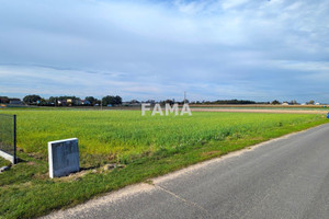 Działka na sprzedaż 3000m2 lipnowski Dobrzyń nad Wisłą Krojczyn - zdjęcie 1