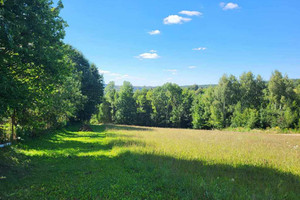 Działka na sprzedaż 11200m2 krakowski Iwanowice Maszków - zdjęcie 1