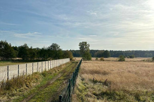 Działka na sprzedaż 3003m2 kamieński Świerzno Redliny - zdjęcie 1