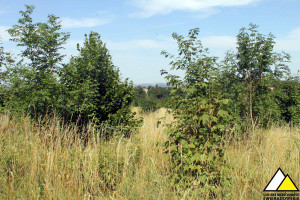 Działka na sprzedaż 73915m2 lubański Leśna Pobiedna - zdjęcie 2