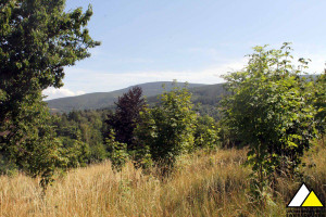Działka na sprzedaż 73915m2 lubański Leśna Pobiedna - zdjęcie 1