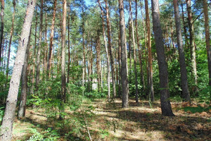 Działka na sprzedaż piaseczyński Konstancin-Jeziorna Długa - zdjęcie 1