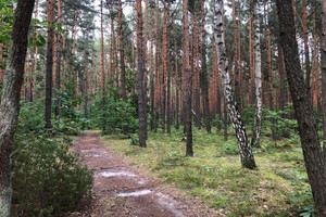 Działka na sprzedaż 29200m2 Warszawa Wawer Aleja Dzieci Polskich - zdjęcie 1