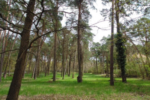 Działka na sprzedaż 3000m2 piaseczyński Konstancin-Jeziorna Potulickich - zdjęcie 1