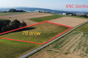 Działka na sprzedaż 7900m2 tarnowski Rzepiennik Strzyżewski Turza - zdjęcie 1