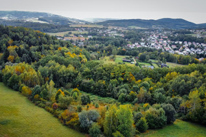 Działka na sprzedaż 11018m2 gorlicki Gorlice Lenartowiczów - zdjęcie 2