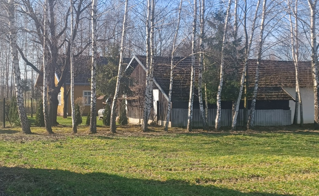 Wiejski dom drewniany z dużą działką