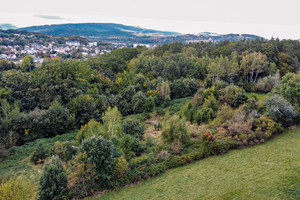 Działka na sprzedaż 11018m2 gorlicki Gorlice Lenartowiczów - zdjęcie 3