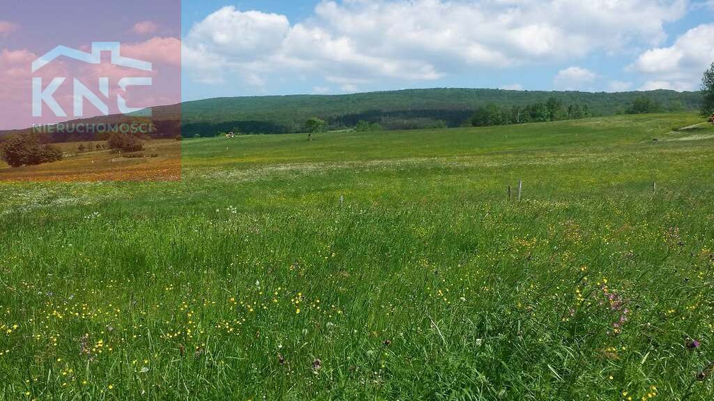 Widokowa działka w Bartnym