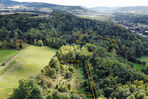 Działka na sprzedaż 11018m2 gorlicki Gorlice Lenartowiczów - zdjęcie 1