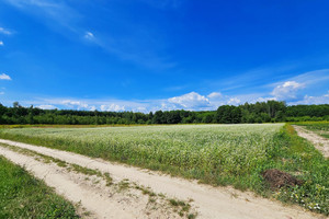 Działka na sprzedaż 4900m2 puławski Kazimierz Dolny - zdjęcie 1