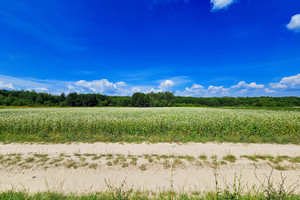 Działka na sprzedaż 4900m2 puławski Kazimierz Dolny - zdjęcie 1