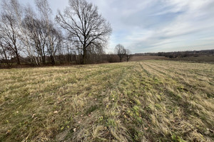 Działka na sprzedaż 8713m2 puławski Kazimierz Dolny Góry Pierwsze - zdjęcie 2