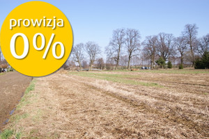 Działka na sprzedaż lubelski Niemce Stoczek-Kolonia - zdjęcie 1