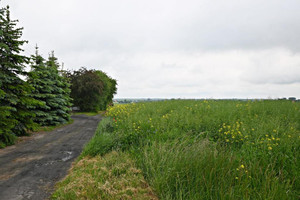 Działka na sprzedaż 8650m2 świdnicki Piaski Wierzchowiska - zdjęcie 3