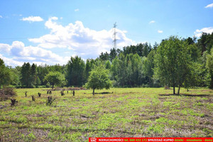 Działka na sprzedaż 3000m2 lubelski Wólka Pliszczyn - zdjęcie 1